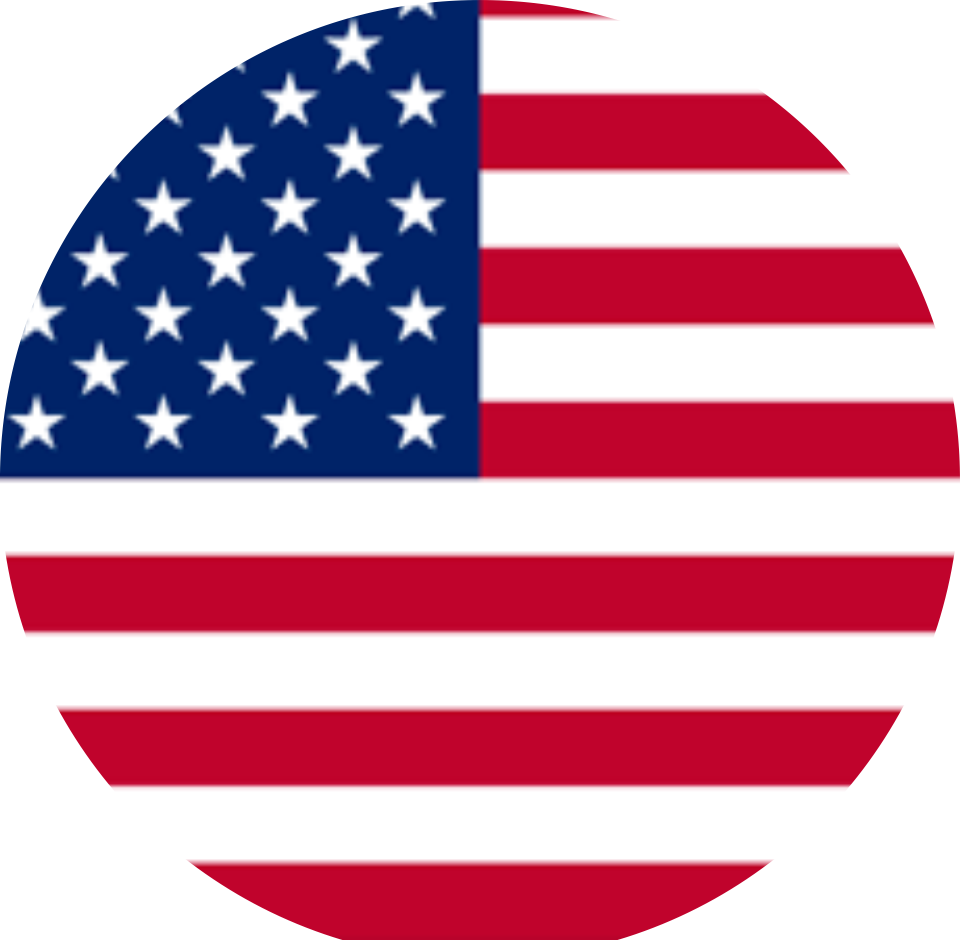 usa flag